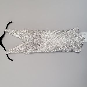 Express Size 0 Bodycon lace dress